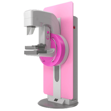 Expert-Led
Mentorship